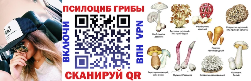 Галлюциногенные грибы ЛСД Нерюнгри